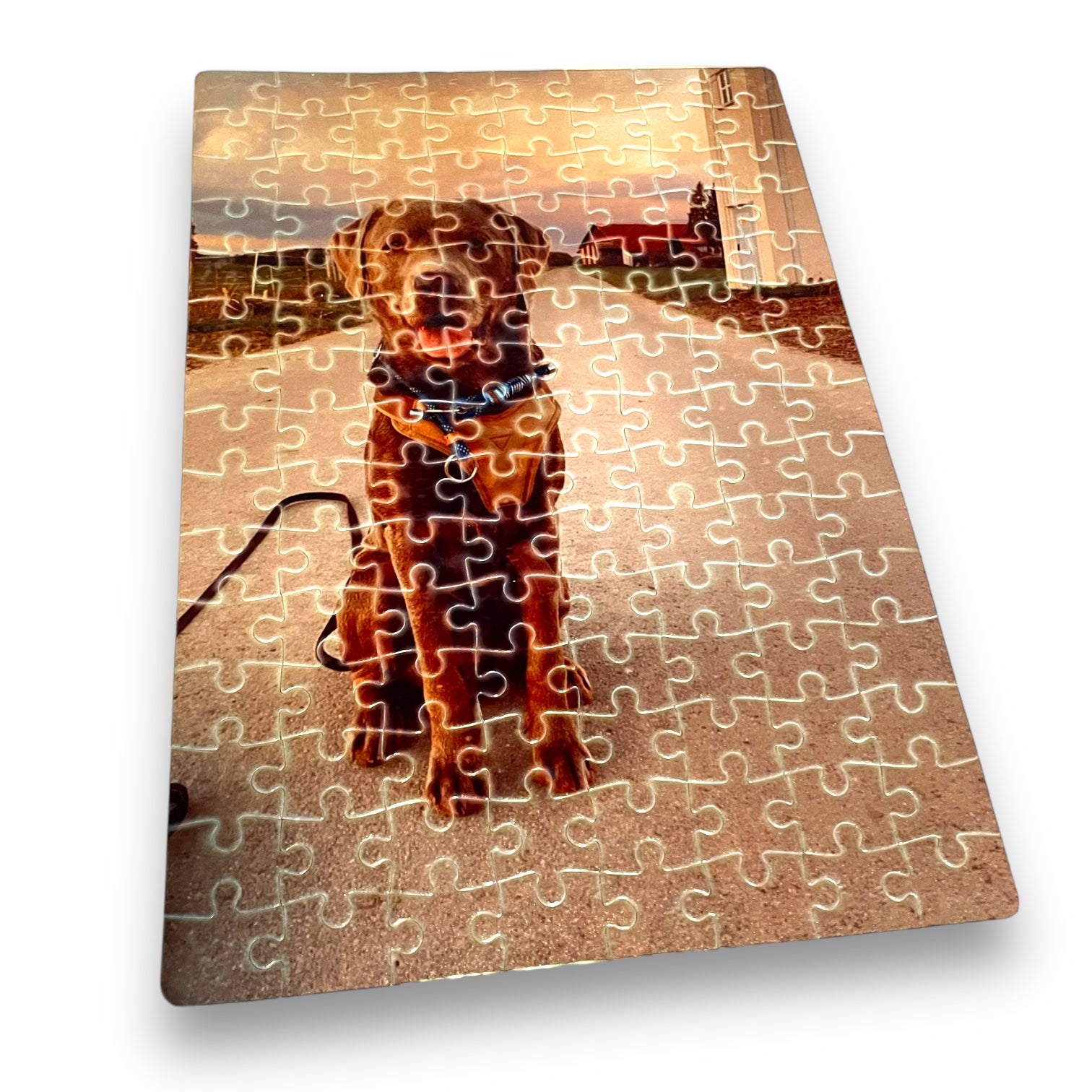 DINA4 Fotopuzzle - mit einem Foto von deinem Haustier ja