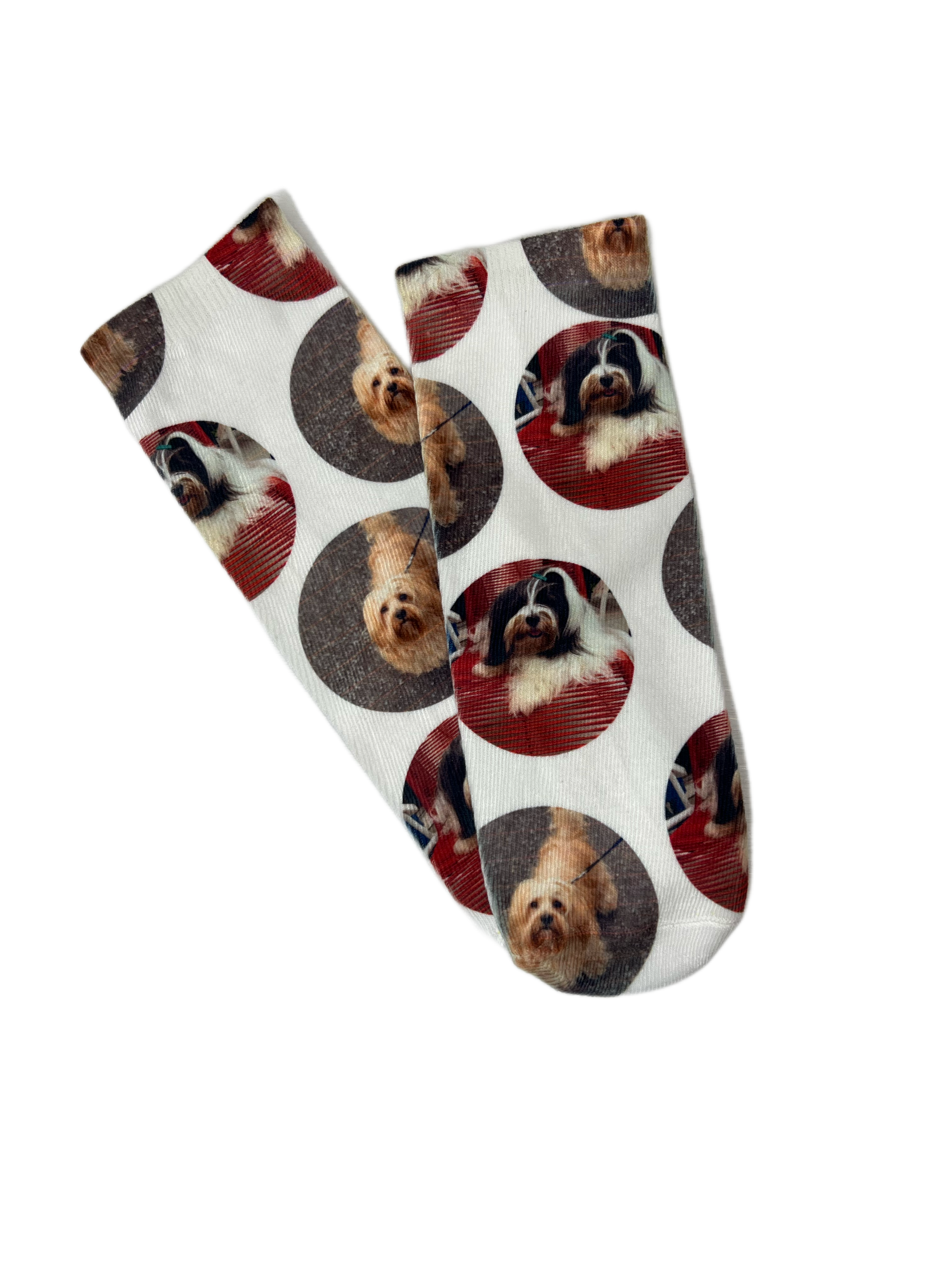 SOCKEN MIT DEINEM VIERBEINER