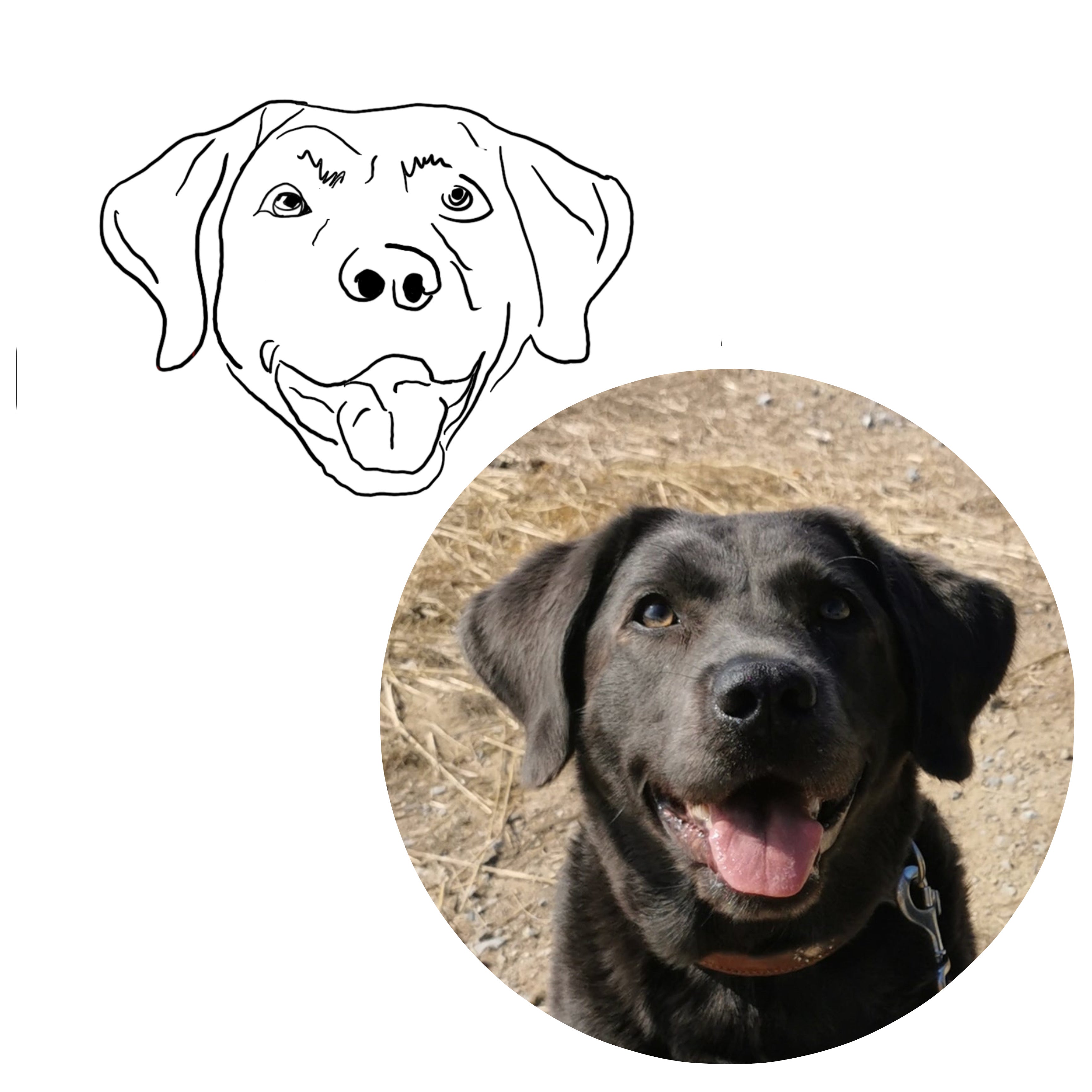 Haustier als Lineart Tattoovorlage- digitales Produkt